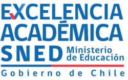 Excelencia Academica Temuco